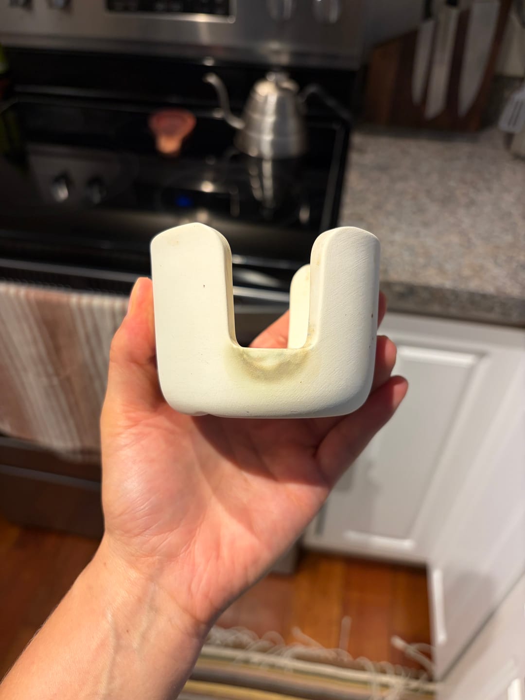 Customer photo review of Fast Drying Diatomite Sponge Holder – Plastic Free Sink Organizer (Mauve, Grey, or Bone)