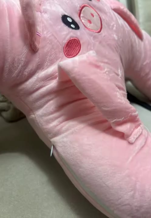 Customer photo review of Almohada de viaje