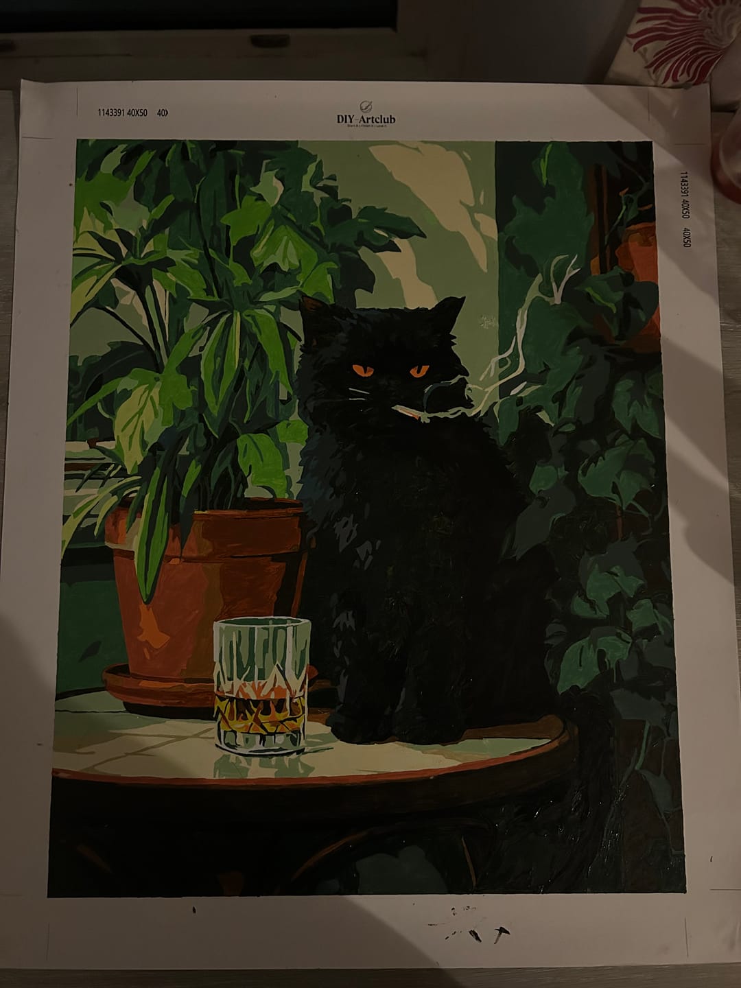Customer photo review of Grumpy cat | Paint by Number