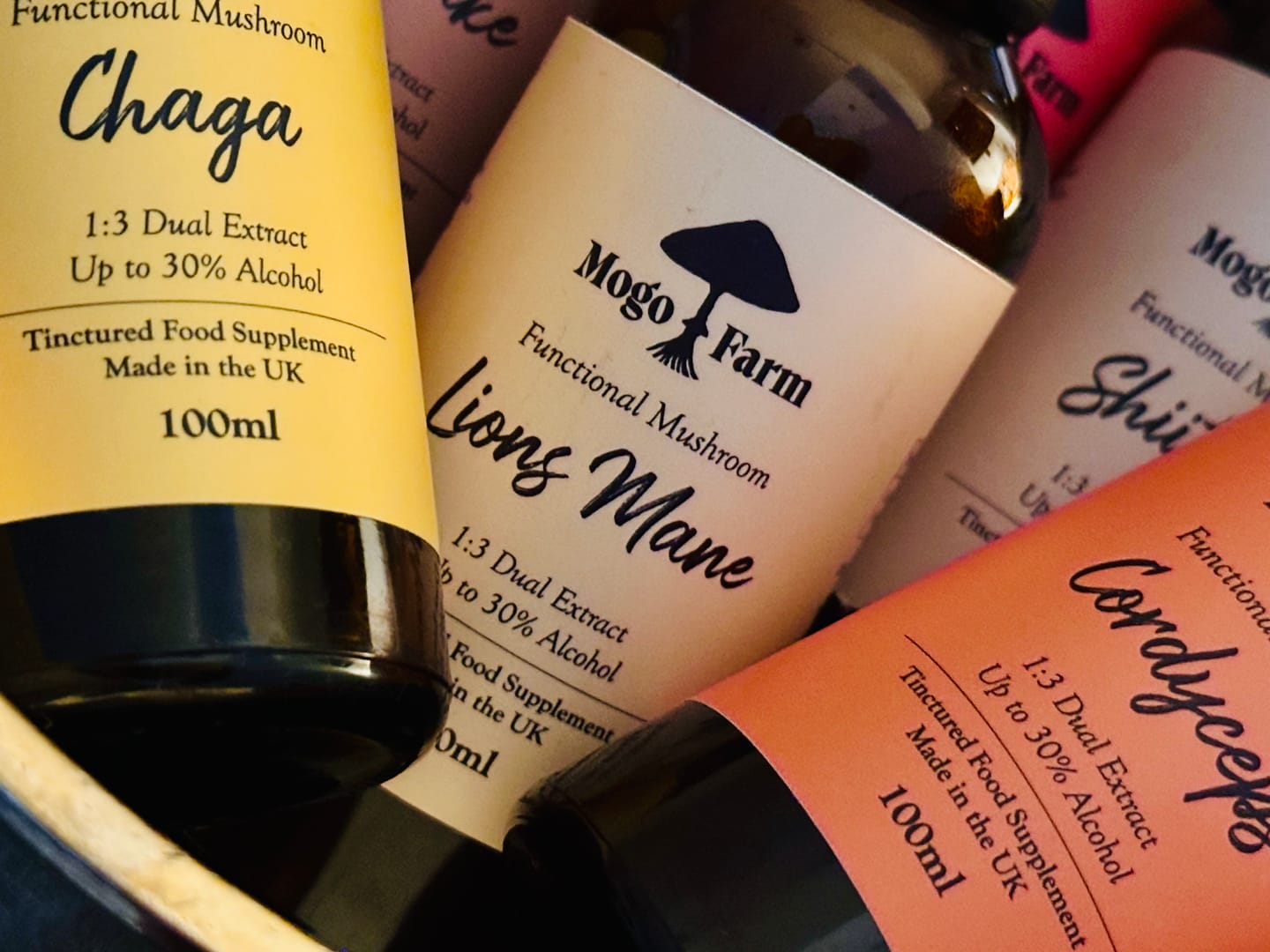 Customer photo review of Lion's Mane Mushroom Tincture