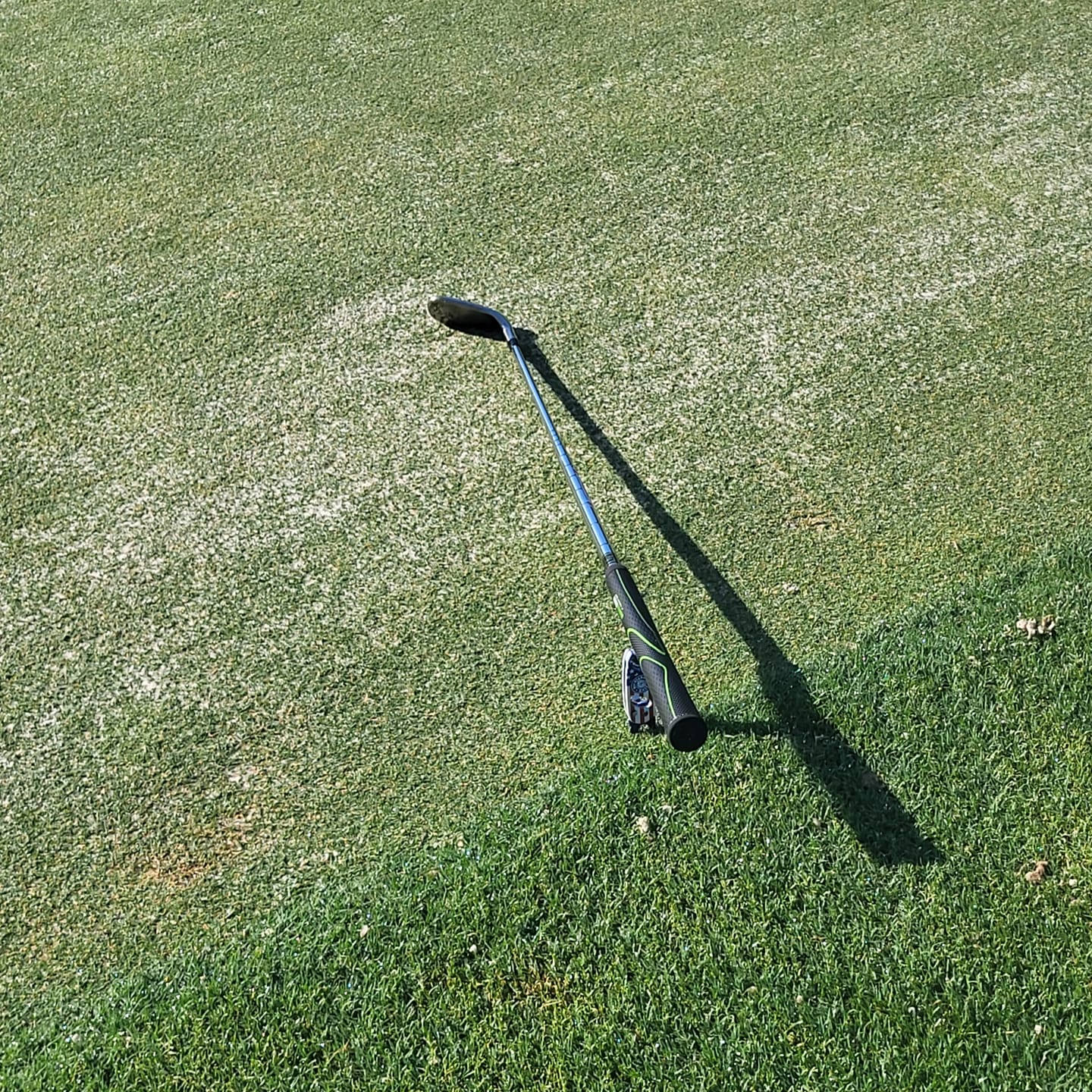 Customer photo review of Free Ball Marker