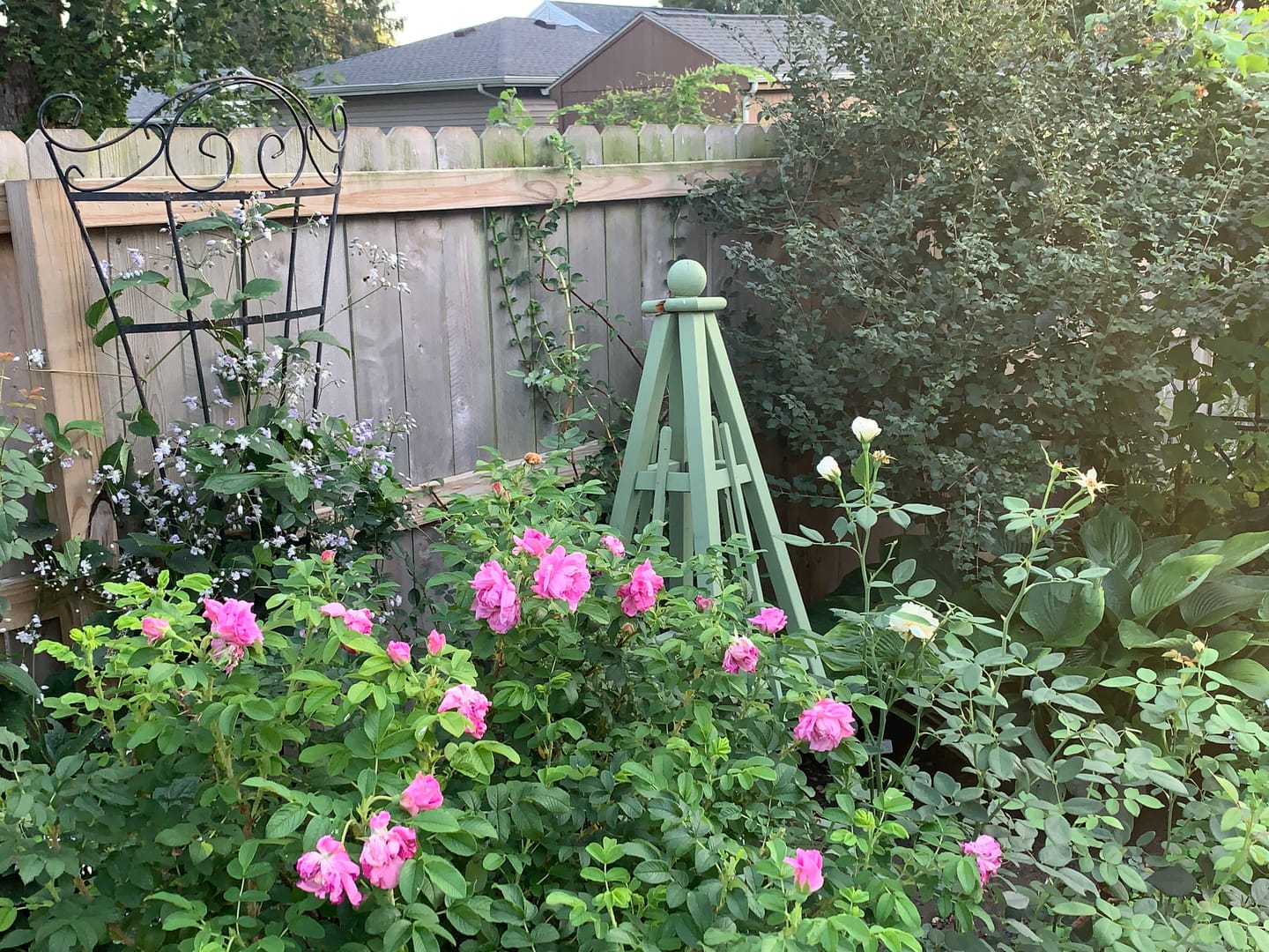 Customer photo review of Annual Prepaid Subscription • Gardening Nation ($129.96)