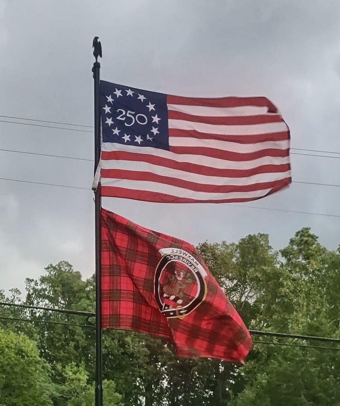 Customer photo review of Maxwell Tartan House Flag with Family Crest