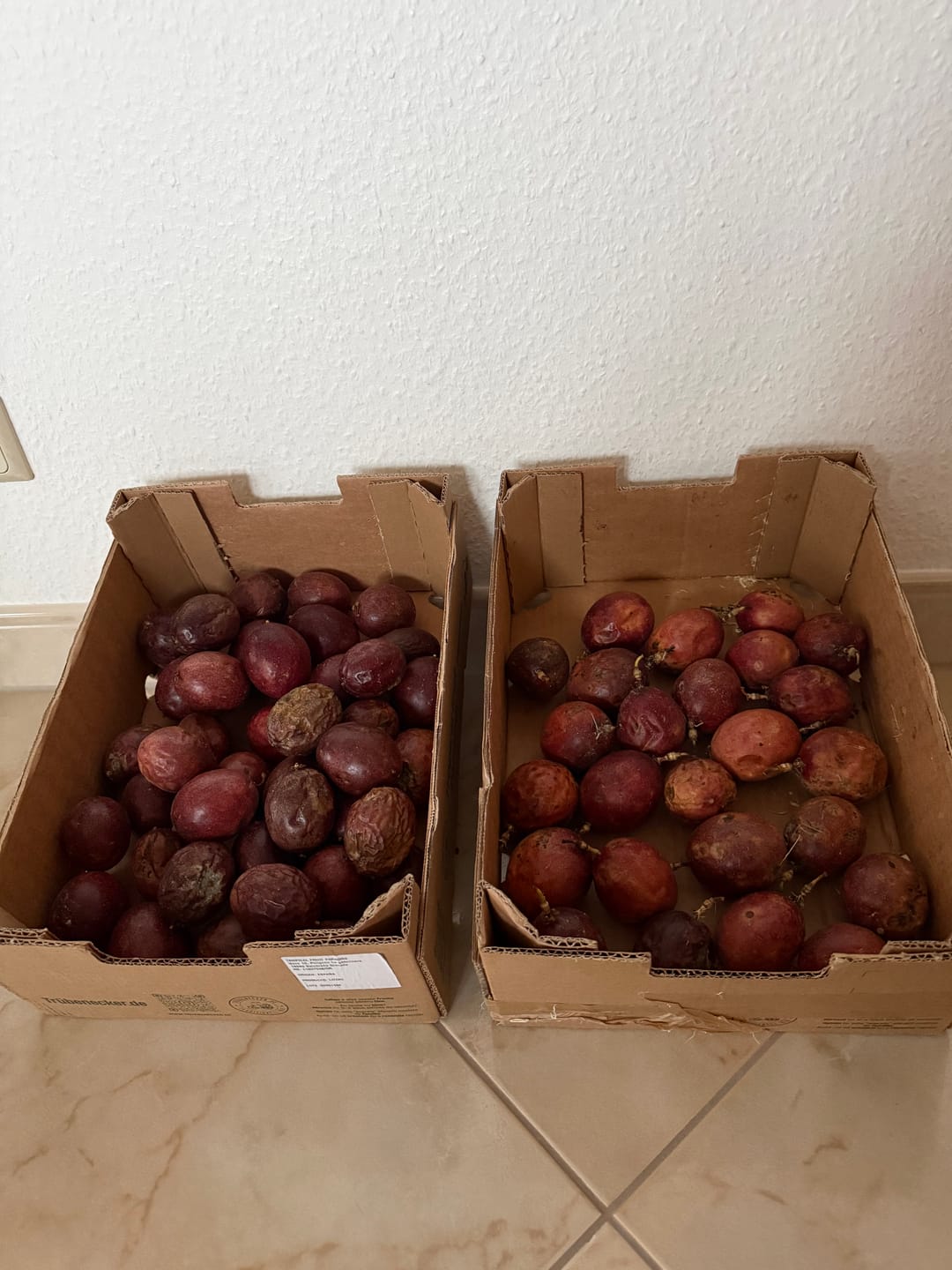 Customer photo review of Passionsfrüchte Bio von Salvador Retteraktion %