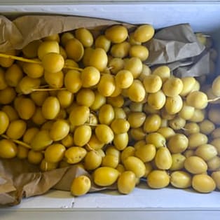 Customer photo review of Organic Yellow Barhi Dates (Khalal Barhi Dates)