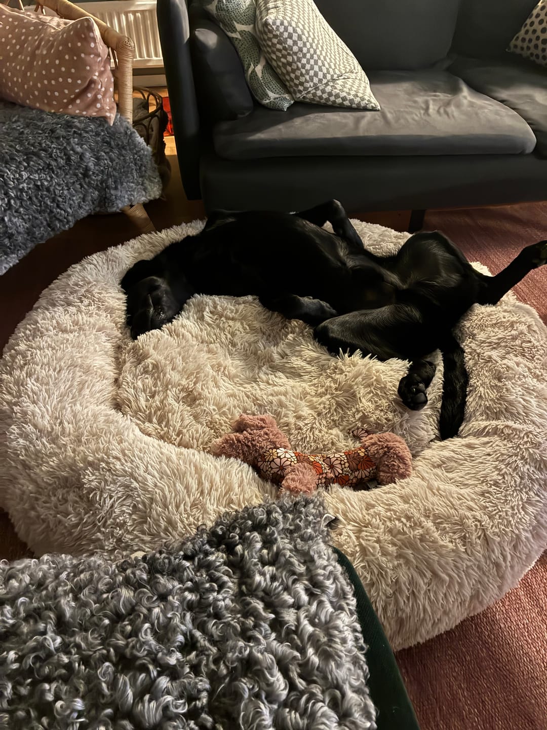 Customer photo review of CalmBed