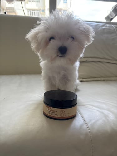 Customer's ProBiome™狗狗益生菌軟粒瓶身，一隻白色小狗坐在瓶子後方。