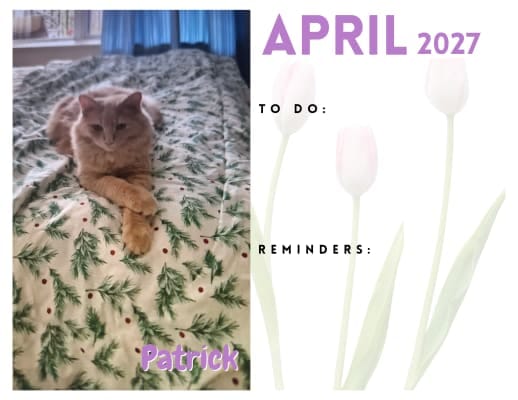Customer photo review of Cutest Pets of Pupvote Summer 2026