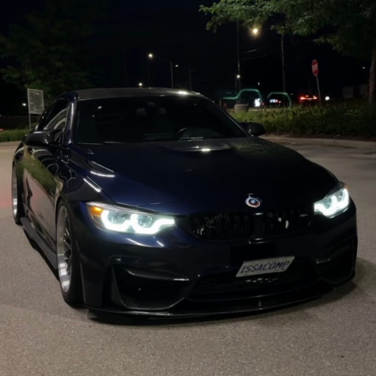 Customer photo review of Bunny Front Plate Mount