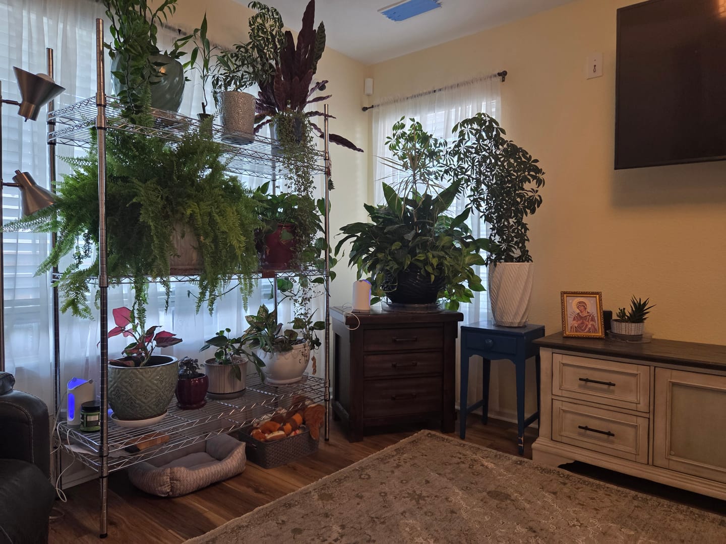 Customer photo review of Plant Juice