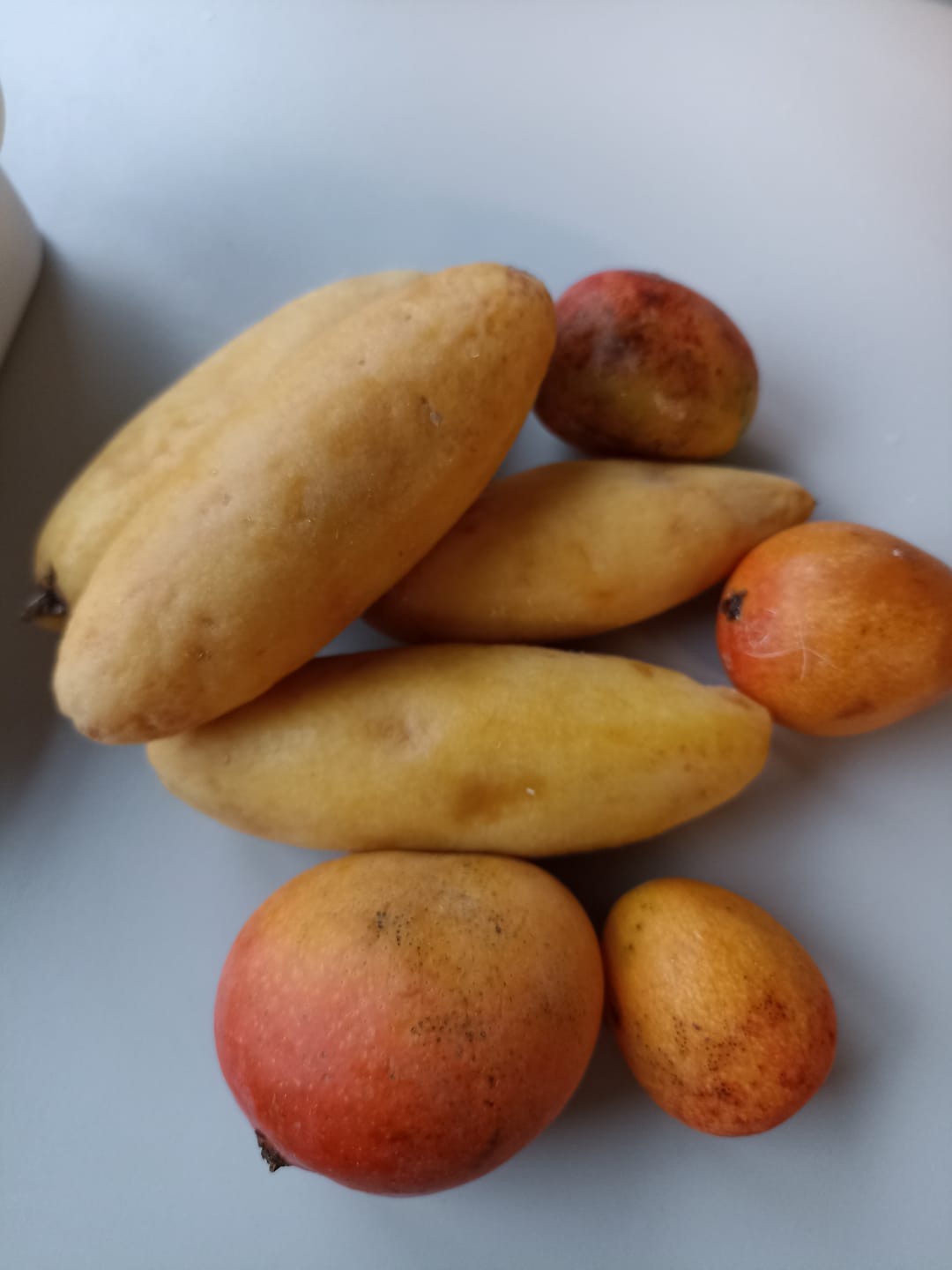 Customer photo review of Ingwer Bio aus Peru mit Schale verwertbar!