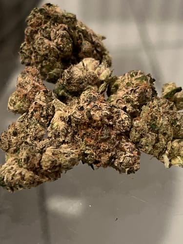 Elite Boutique Exotic Bolo Runtz - Bulk- Indica photo review