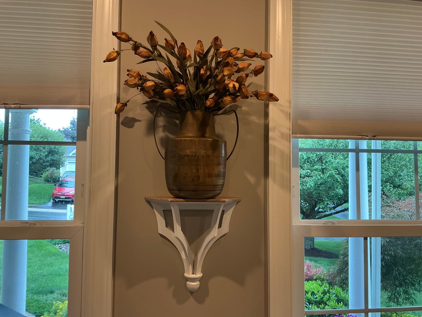 Customer photo review of Lantern Bud Luxe Bush | Buckskin PRE ORDER