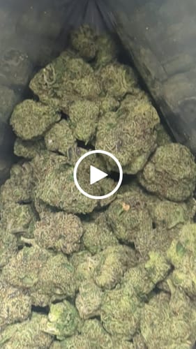 Boutique Exotics Obama Runtz - Bulk - Hybrid photo review