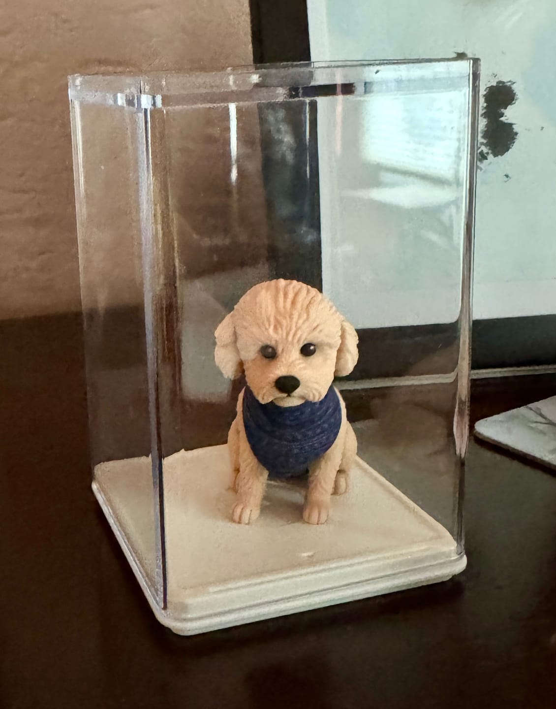 Customer photo review of Dust-Proof Acrylic Display Case