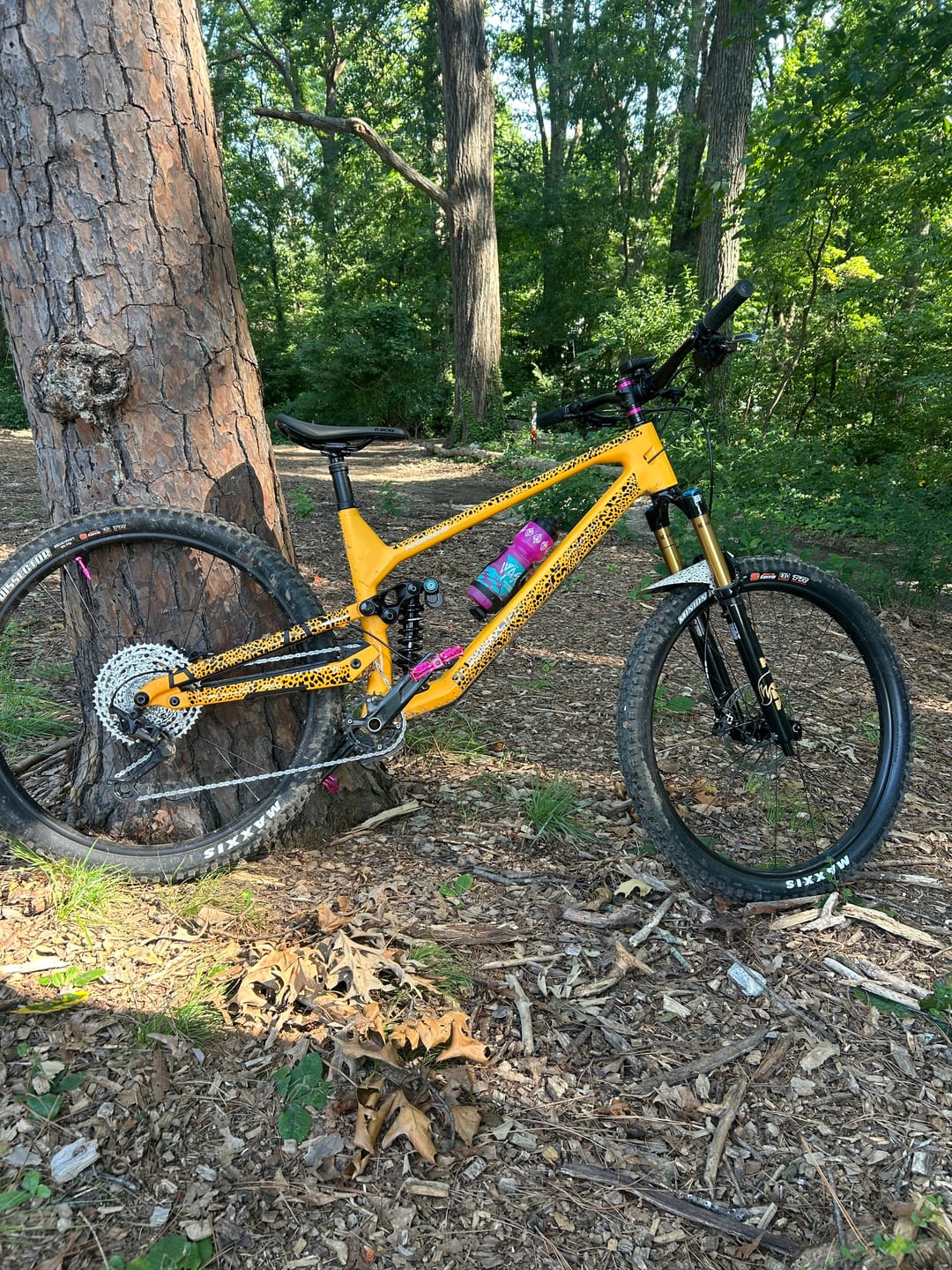 Customer photo review of Cheetah Frame Keeper