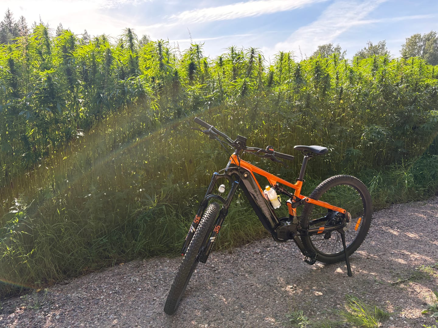 Customer photo review of Lankeleisi MG600 Pro 250W 29" Trails E-Mountain Bike 150/130 mm Full Suspension EMTB 960Wh Battery
