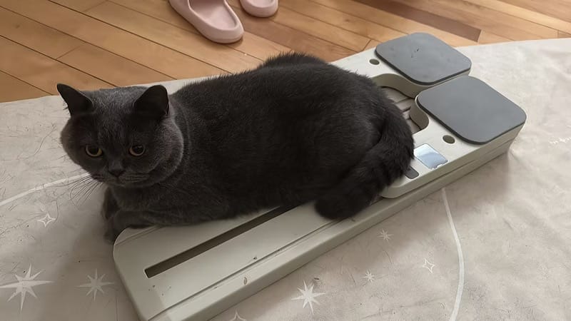 Customer photo review of SculptFlow Max™ | Full Body Sculpt and Tone Trainer