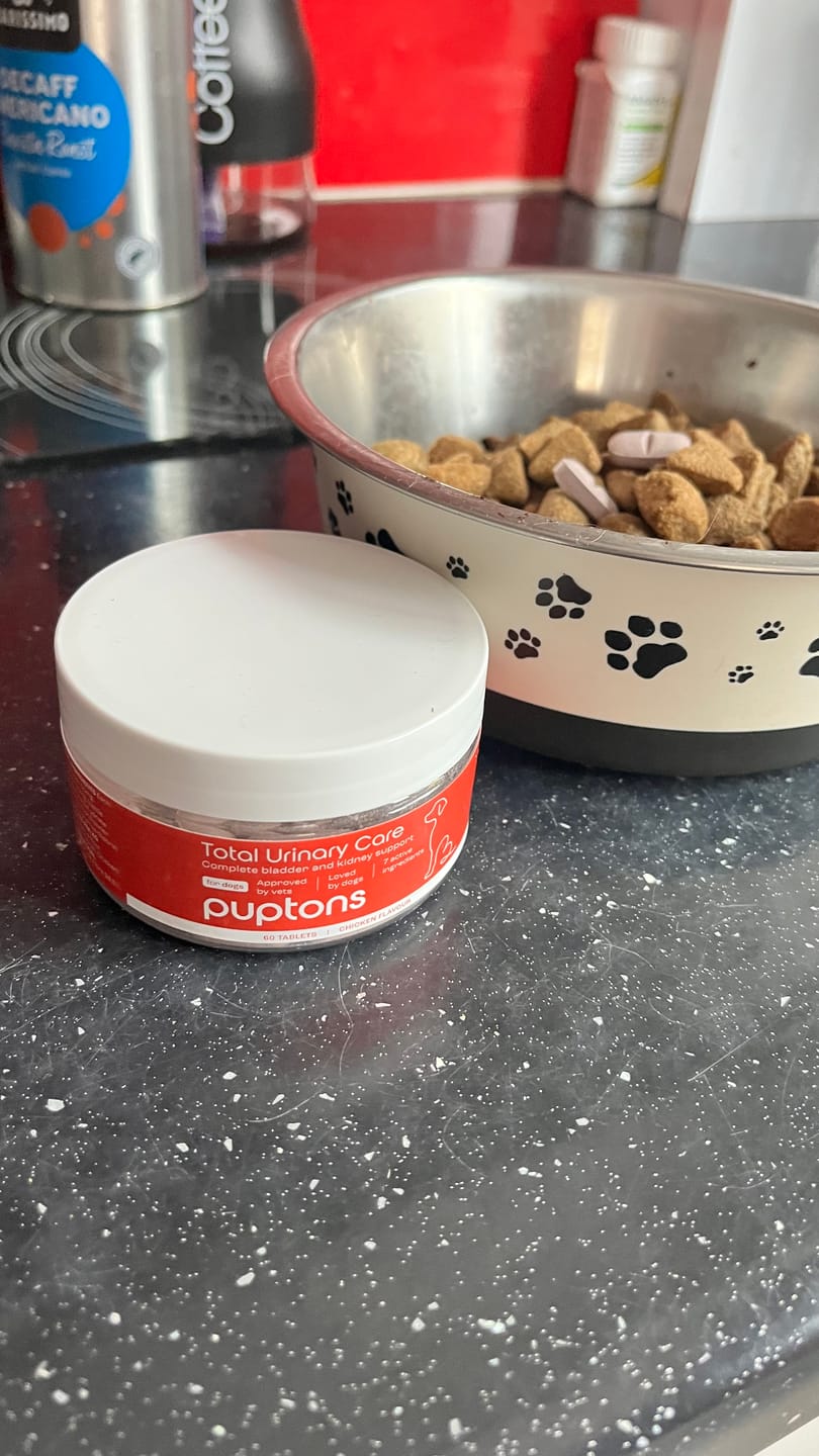 Customer photo review of Total Urinary Care Supplement For Dogs