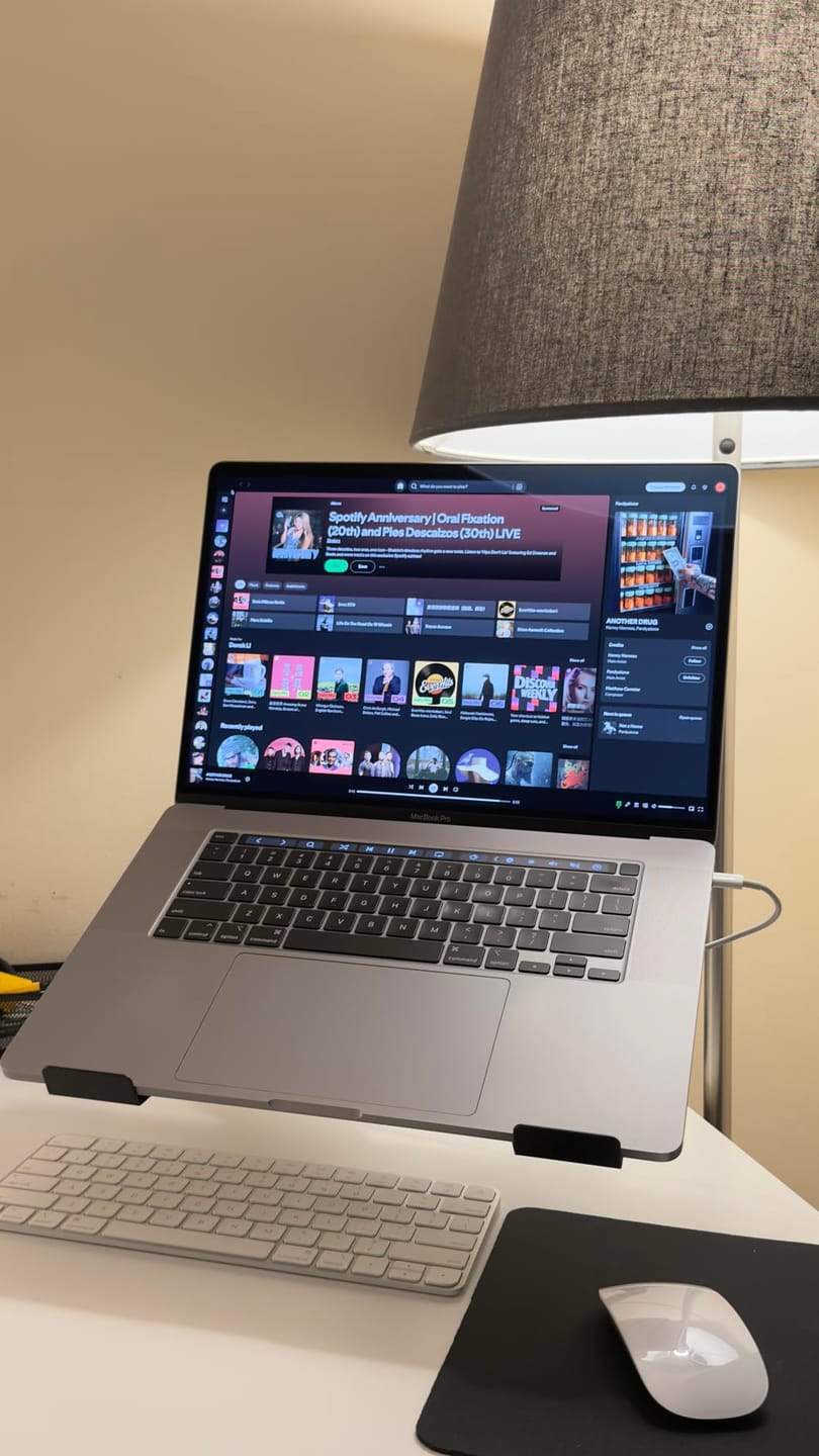 Customer photo review of 2-in-1 Laptop & Monitor Desk Mount