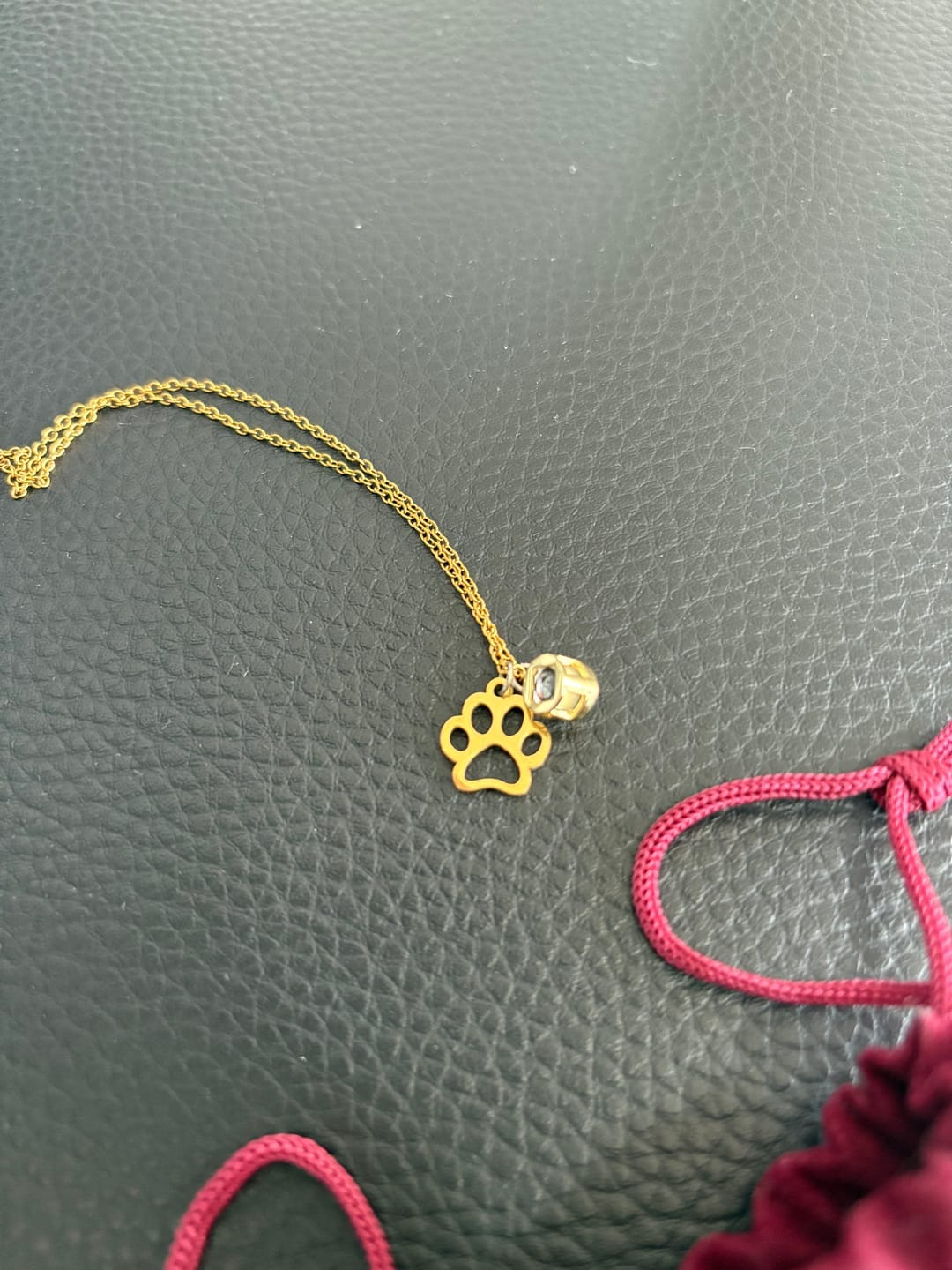Customer photo review of Forever Paw Projektionskette
