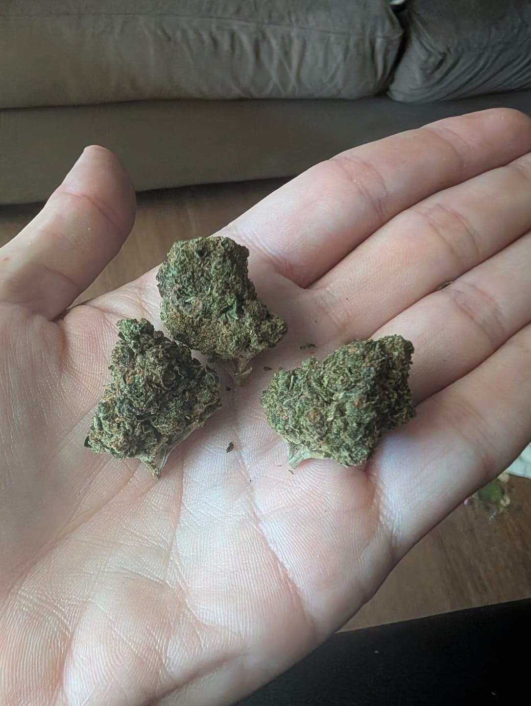Customer photo review of Royal Gas Indoor THCA