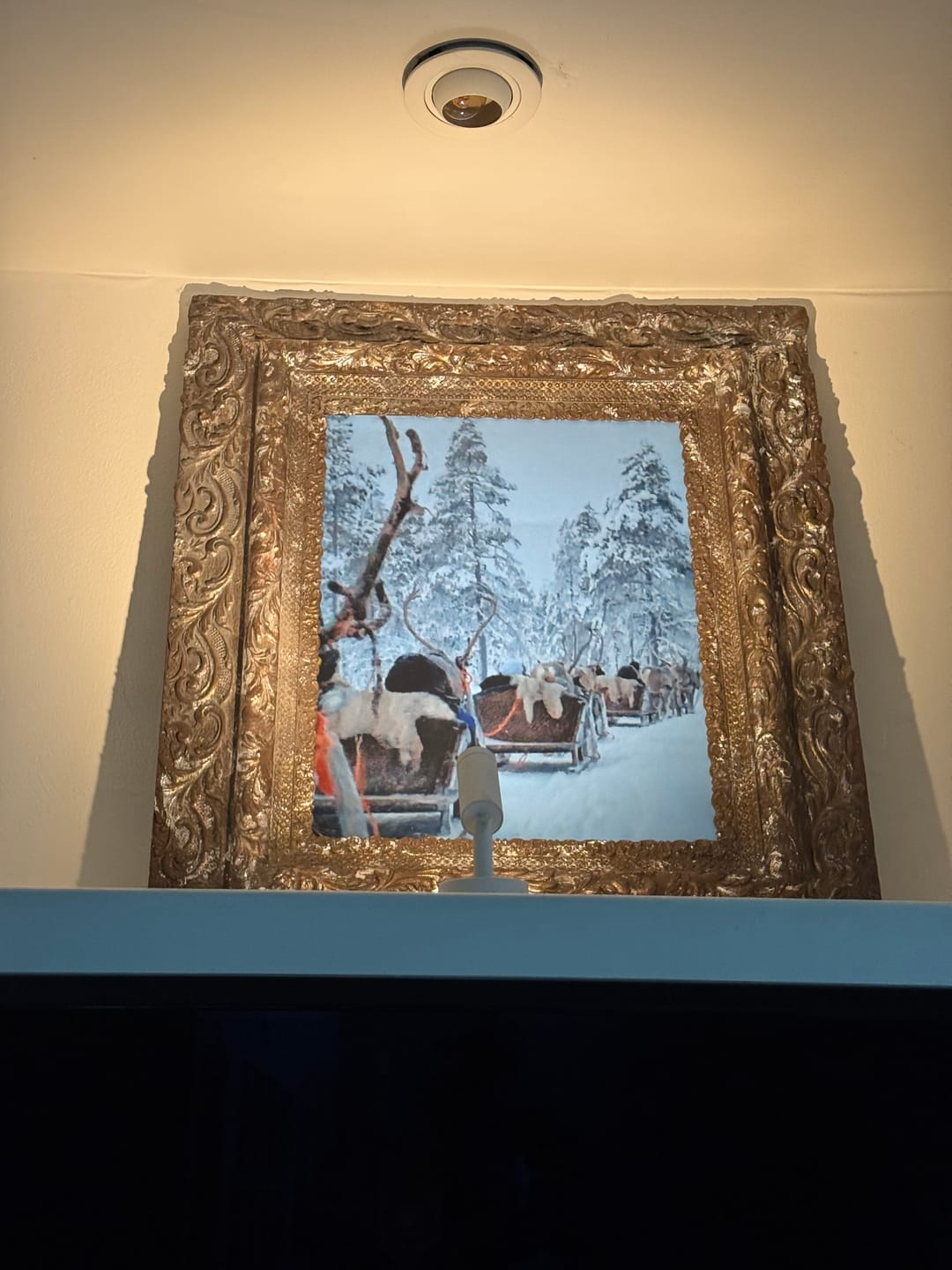 Customer photo review of One Step Paint | Windsor