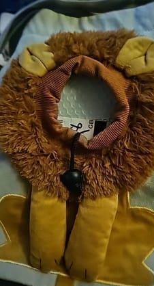 Close-up of the pet carrier