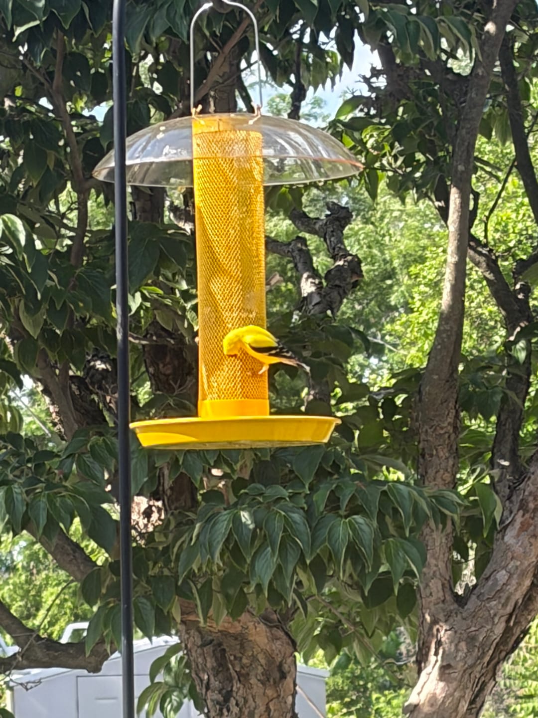 Customer photo review of Gardening Nation $9 Monthly