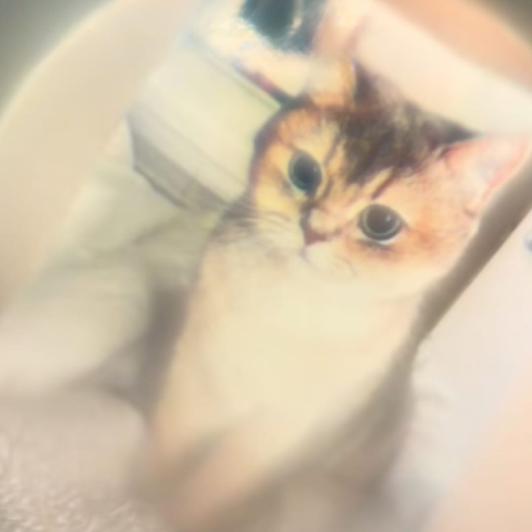 Customer photo review of Collar de Proyección Forever Paw