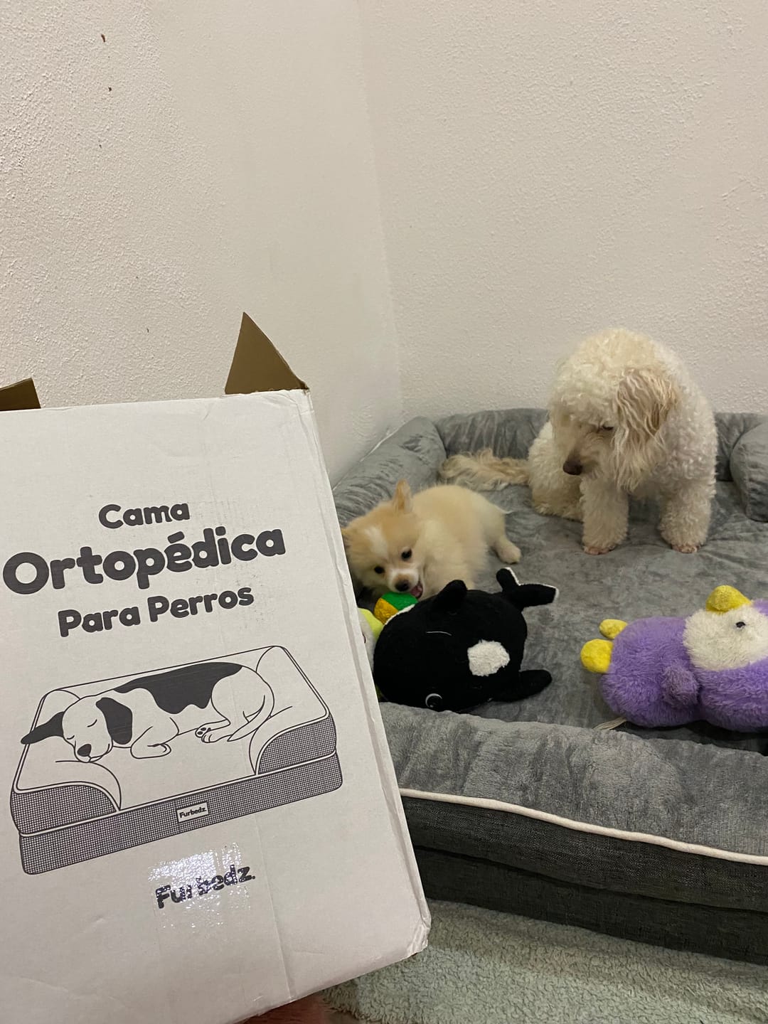 Customer photo review of Cama Ortopédica para Perros