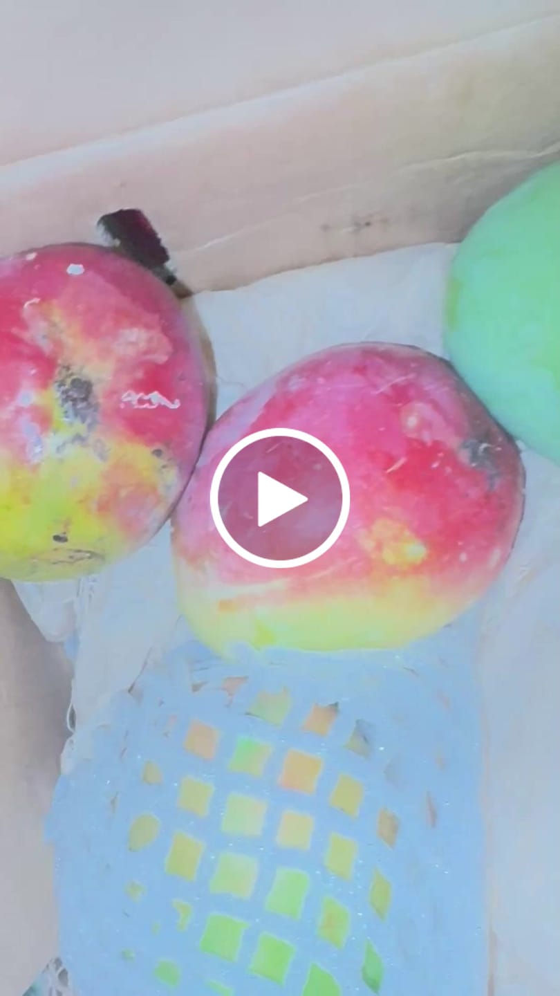 Customer video review of Mango Mix Box *Pre-Order*