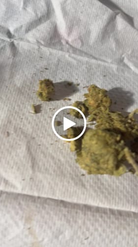 Biscotti Cake - 28 Grams - Hybrid photo review