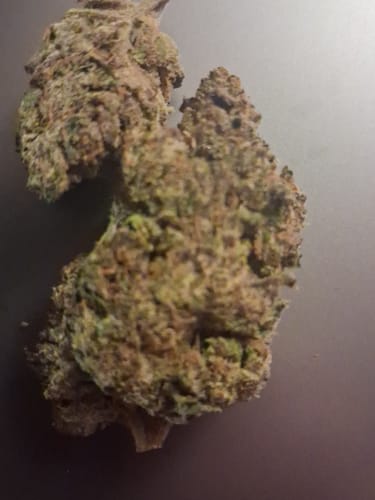 Rainbow Runtz - Bulk - Hybrid photo review
