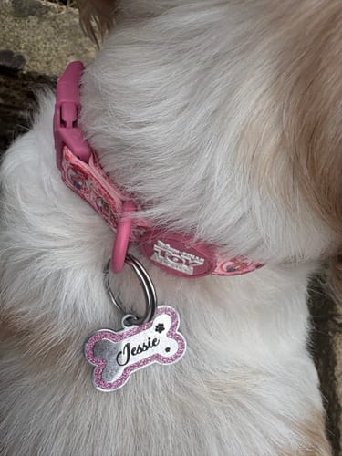 Customer photo review of Disney© Collar - Cowgirl Jessie
