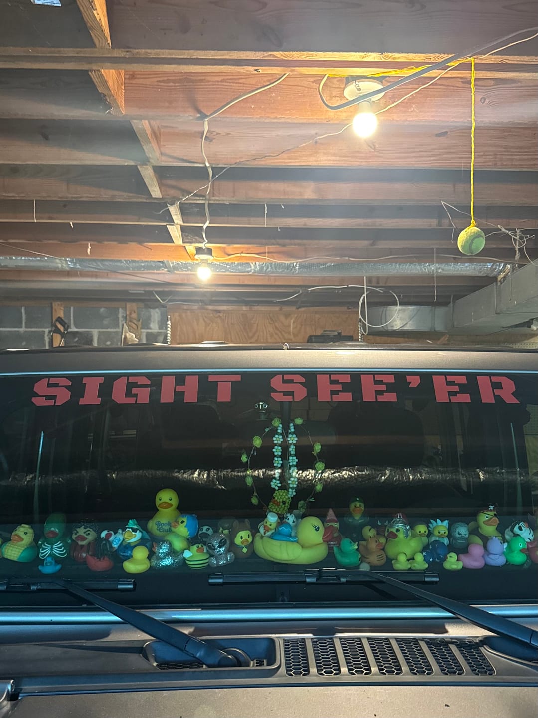 Customer photo review of Windshield Lettering