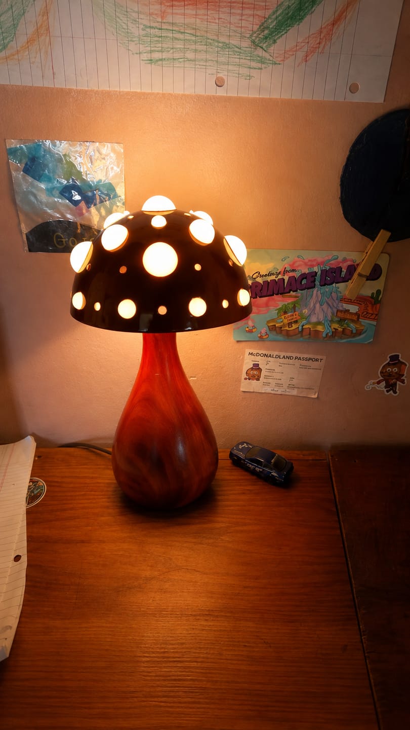 Customer photo review of Designer Mushroom Table Lamp