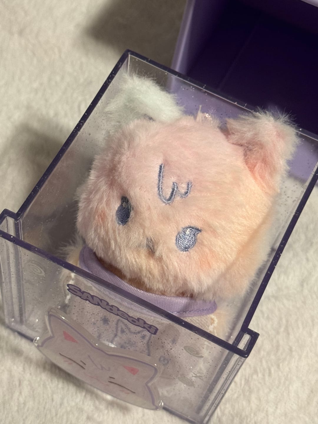 Customer photo review of ATEEZ - ANITEEZ IN COLOR POP UP OFFICIAL MD ANITEEZ MINI BIB