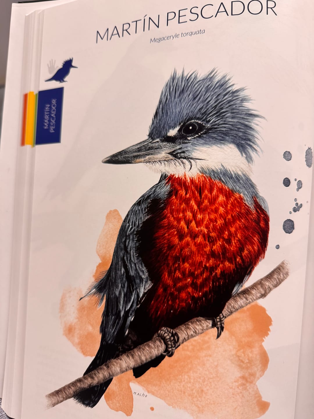 Customer photo review of Aves de Chile: Colores al vuelo - Tercera edición