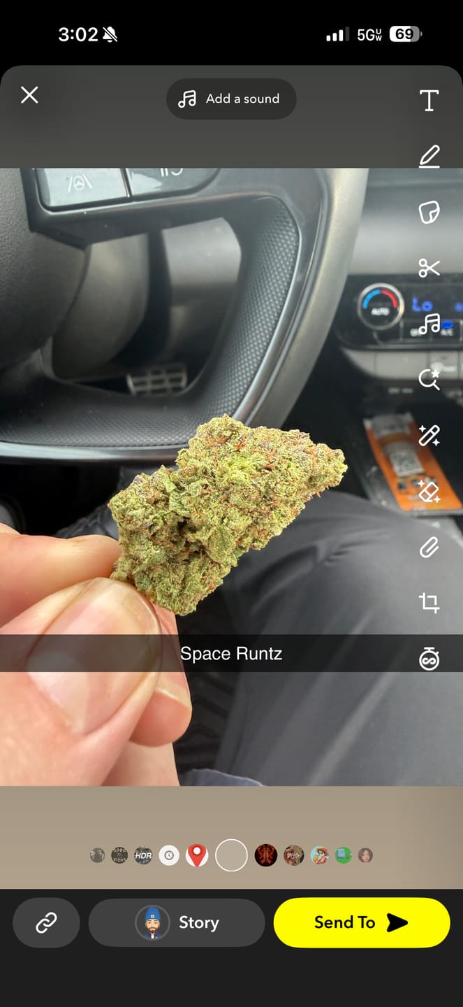 Customer photo review of Space Runtz - Bulk - Hybrid