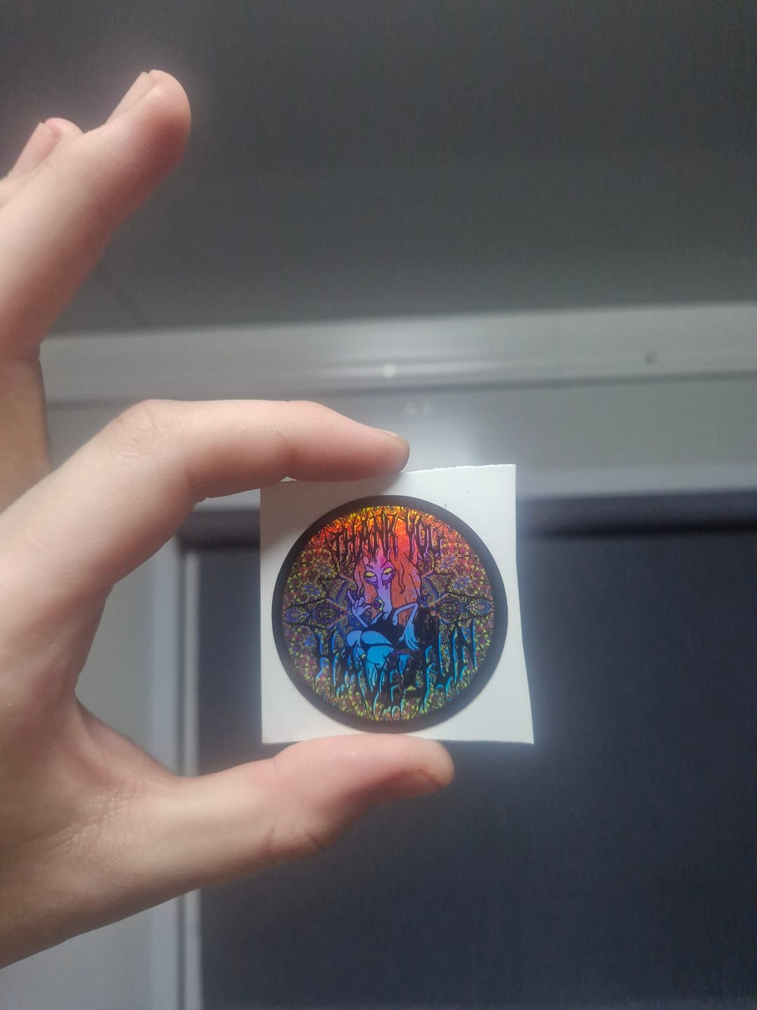 Customer photo review of Circle Sheet Labels - Holographic
