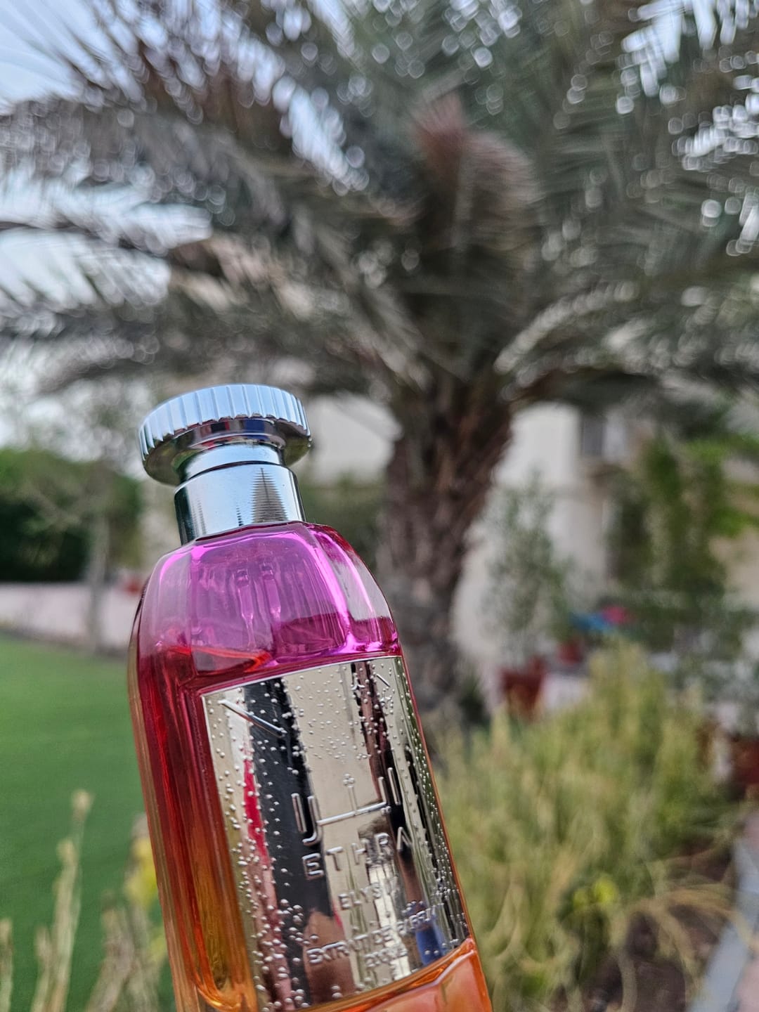 Customer photo review of ELYSIΛ - 100ml
