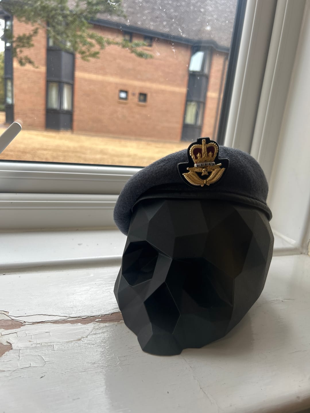 Customer photo review of Black Skull Stand