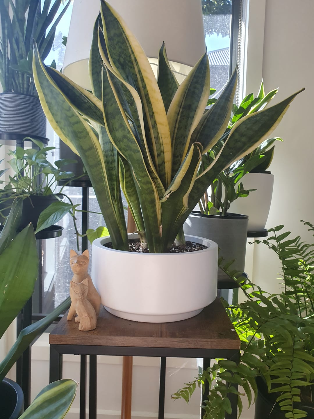 Customer photo review of Good Size