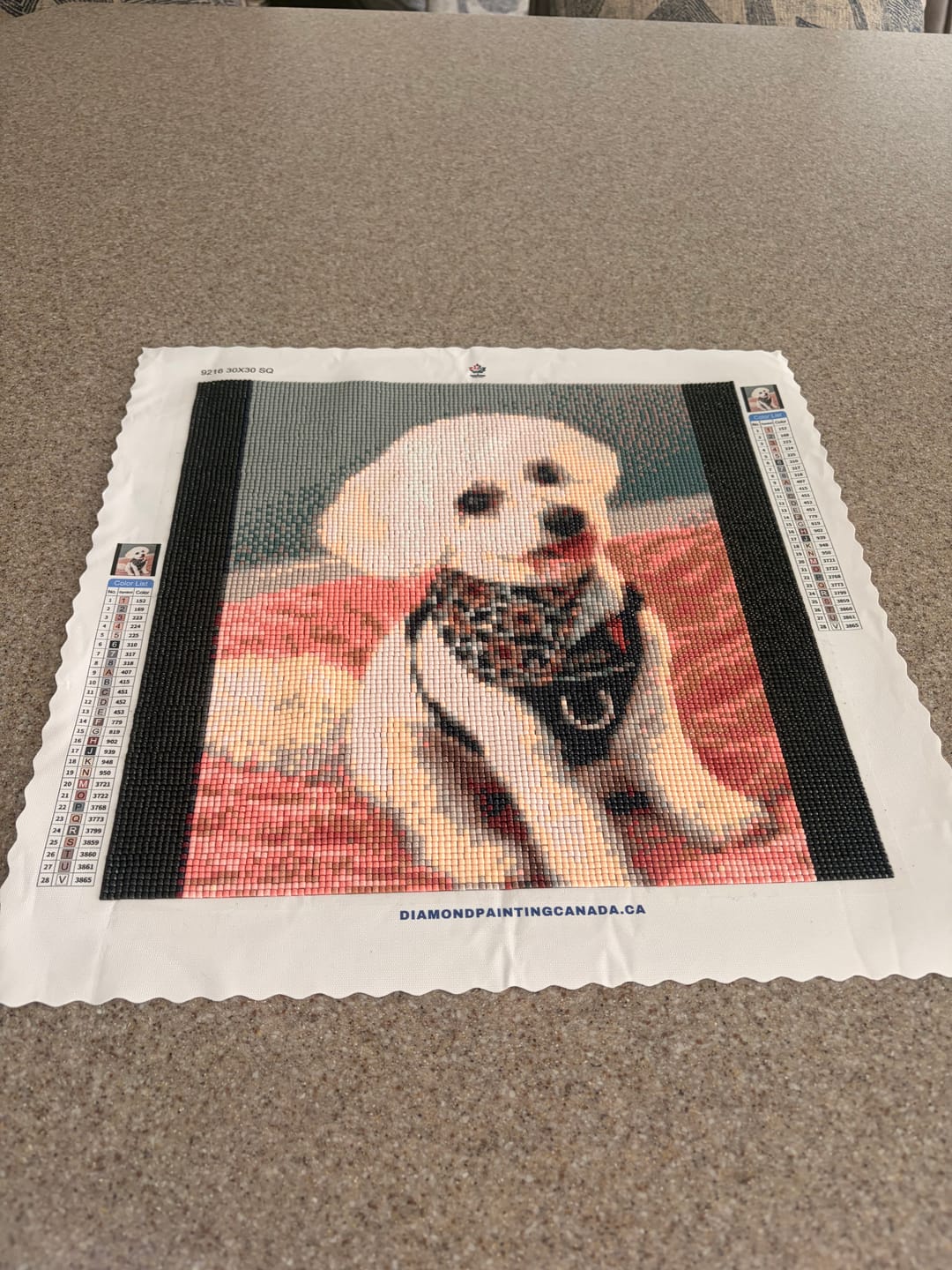 Customer photo review of Custom Diamond Painting