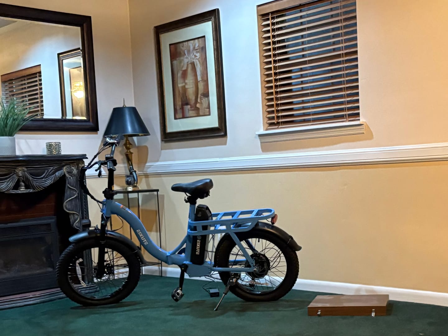Customer photo review of Eskute Rear Rack Basket