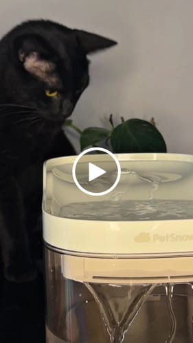 Customer video review of Wireless Weight-Sensing Pet Fountain