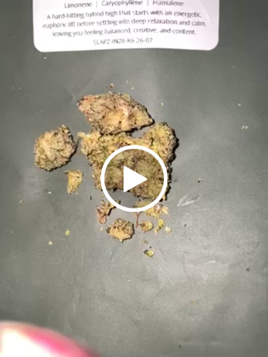 Customer video review of Slapz