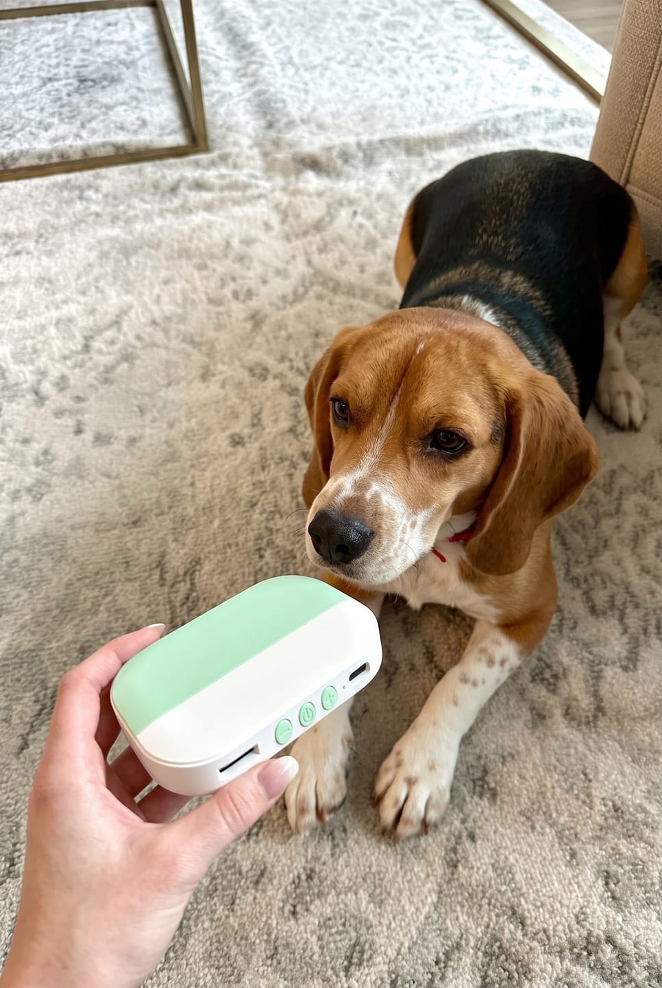 Customer photo review of PawSpa® Calmy™ — Sonidos de Relajación para Mascotas