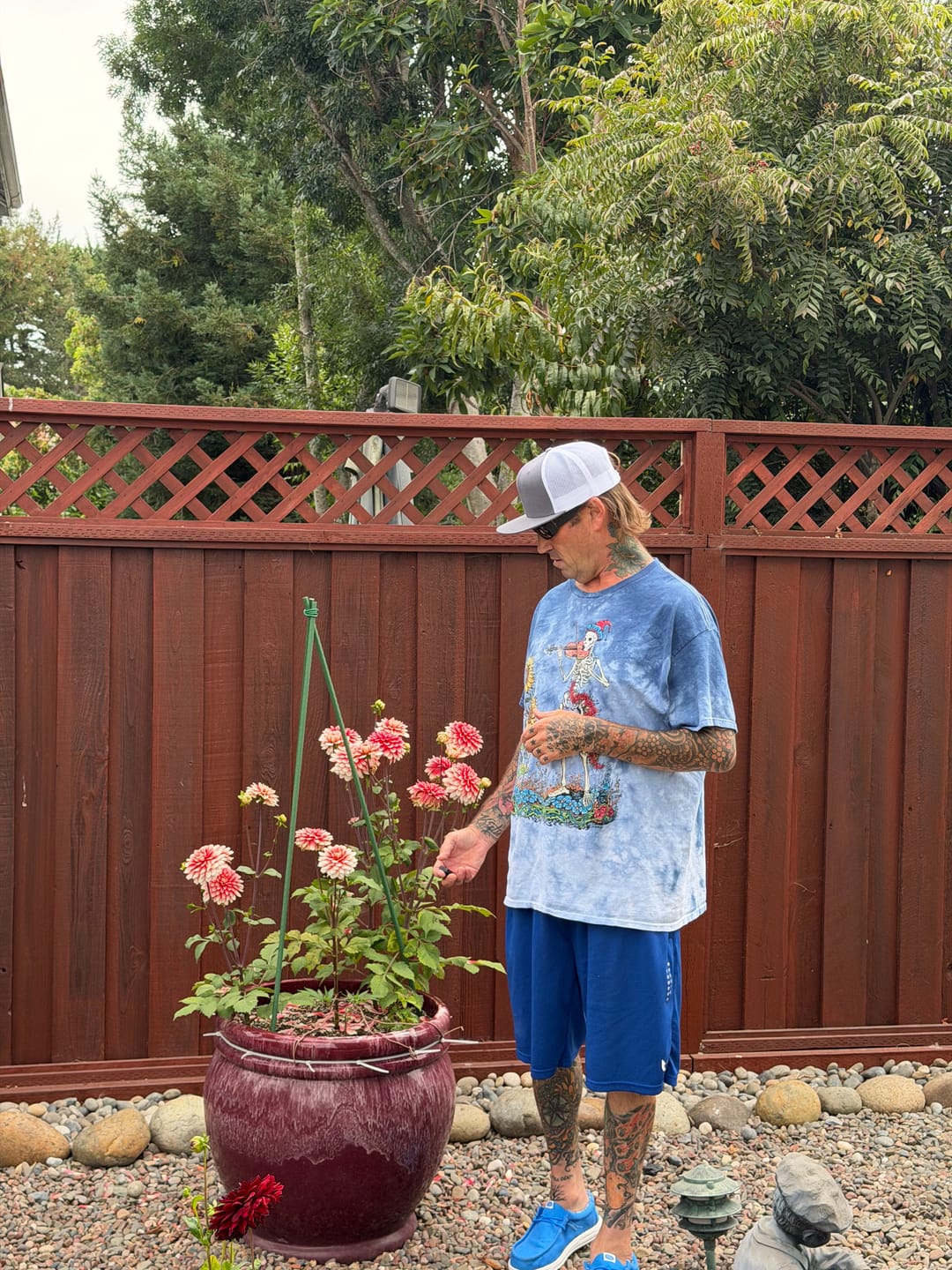 Customer photo review of Grateful Dead Sunflower Fiddler Tie Dye T Shirt